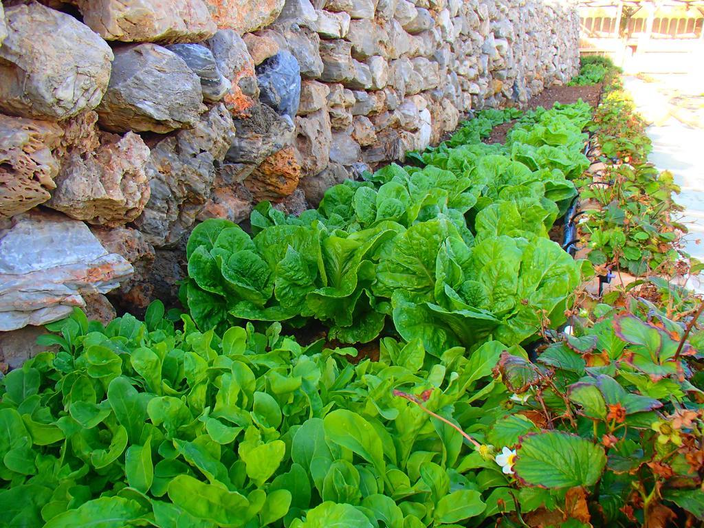 Pavlosx2 Folegandros Town Exterior photo